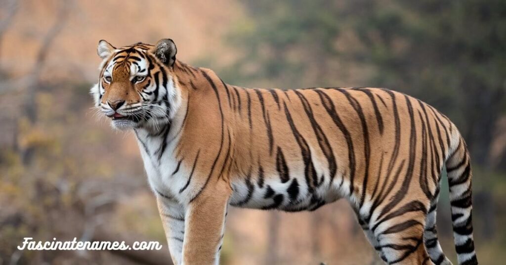 A majestic tiger stands proudly on a rock, surrounded by lush greenery in its natural wild habitat.
